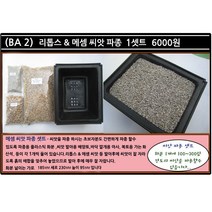 리톱스 나라 씨앗, (BA 2)리톱스씨앗직사각파종1셋트, 1개