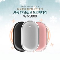 앙티피 대용량 손난로 보조배터리 양면발열, 블랙