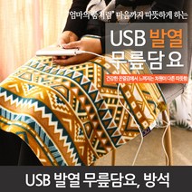 맘스품 탄소섬유 발열 USB 무릎담요