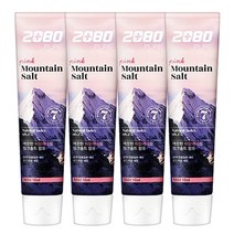 2080 퓨어 마운틴 핑크 솔트 치약, 160g, 4개