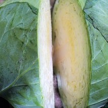 간편 양배추 1통 2통 3통 3kg(1-2통) 5kg(2-3통), 1개, 5kg(2~3통)