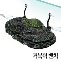 샘아쿠아 sam 부상성 거북이 벤치 섬, 1개