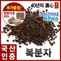 자애인 국산 복분자 600g 건조복분자 복분자차경북의성, 1개