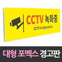 아트사인 대형 포맥스 안내판 CCTV녹화중, 본상품선택, 1개