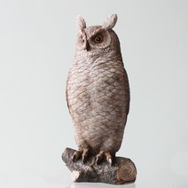 라움아트 바우트 리얼 부엉이(중형사이즈), 바우트 리얼 부엉이B