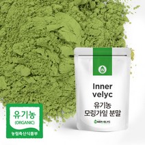 바른에프엔비 바른약초 유기농모링가분말, 200g, 1개