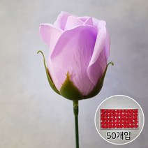블랙앤화이트 비누꽃 2겹장미 50p + 일반꽃대, 중보라