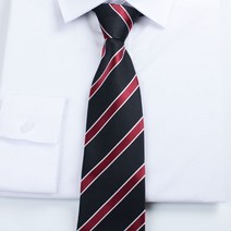 사선자동넥타이 면접넥타이