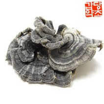 갑당약초 국내산 운지버섯 (구름버섯) 300g, 4개