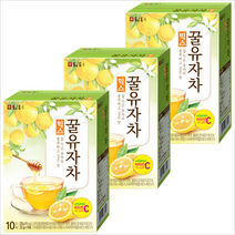 담터 믹스꿀유자차10Tx3개, 22g, 10개입, 3개