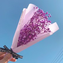 월드무역 안개꽃 드라이플라워 프리저브드꽃다발 꽃다발 생화, 퍼플