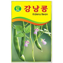 흑금장파 씨앗 2000립 / 채소씨앗 파 파씨 파씨앗, 17_강낭콩(20g)