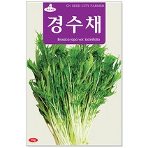 청농종묘 양상추 씨앗 200립 상추씨 상추씨앗 채소씨앗, 25_경수채(15g)