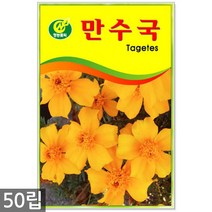 봉선화 50립 - 봉숭아 씨앗 봉선화씨 꽃씨 꽃씨앗 씨앗 씨 야생화씨앗 봉숭아씨, 08_청농_만수국(50립)