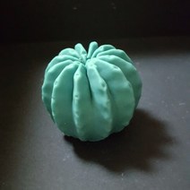 수제몰드 선인장몰드[모음](선택), 11번