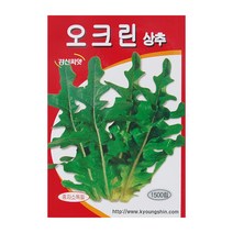 경신종묘 상추씨앗 오크린상추 1500립