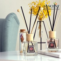 네이센트 프리미엄 우드컬러 디퓨저 1+1 300ml 아로마 디퓨져 B세트, 유칼립투스