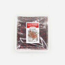 선인 냉동 베리베리 크랜베리 500g, 단품