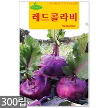 땅콩호박 씨앗 10립 / 땅콩호박씨앗 땅콩호박씨 호박씨앗 호박씨, 05_레드콜라비(300립)