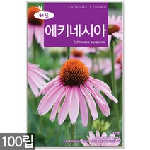 에키네시아 씨앗 100립 / 허브씨앗 에키네시아씨앗 허브씨 허브 여름꽃씨 씨, 16_허브_페퍼민트(200립)
