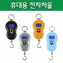 휴대용 전자저울 RTS