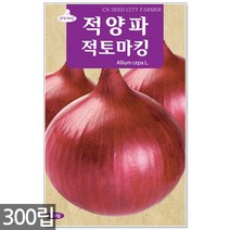 청농종묘 레드무 씨앗 100립 무씨앗 빨강무씨앗 빨강무씨 무씨 김장무씨앗, 14_적양파적토마킹(300립)