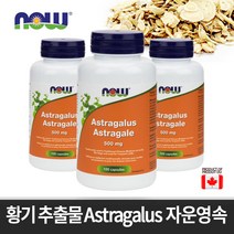 NOW 캐나다 황기 추출물 자운영속 500mg 100캡슐, 1개