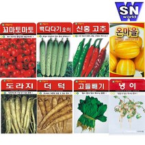 SN월드 씨앗 상추 방울토마토 당근 고추 양파 허브 새싹 꽃씨 야생화, ▶d민속특수씨앗◀ ★어수리