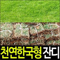 순희농장 잔디, 1000장
