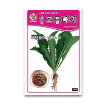 모칸도 제일고들빼기 3000립, 1개