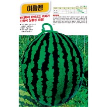 아시아종묘 수박씨앗종자 여름엔수박 (200립), 1개