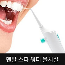 덴탈 스파 워터 플로스 물치실 구강세정기 치실, 1개, 1개
