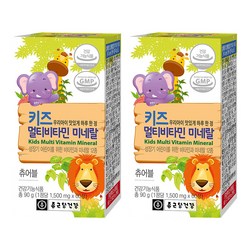 종근당건강 키즈 멀티비타민 미네랄, 60정, 2개