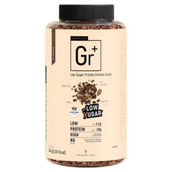 그라놀로지 Gr플러스 저당 프로틴 그래놀라 카카오, 340g, 1개
