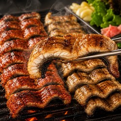 [산지직송] 국산 자포니카 손질 민물장어 구이용