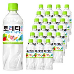토레타 이온음료 500ml, 24개 - 시원함과 건강을 동시에!