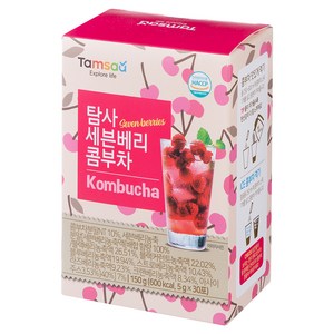 탐사 세븐베리 콤부차