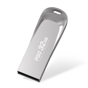 PLEIGO USB 메모리 P50