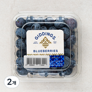 [로켓프레시] PSK 칠레산 블루베리