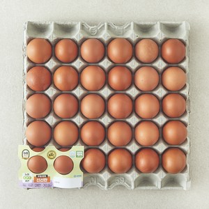 [로켓프레시] 농협 EPC 무항생제 인증 대란 1.56kg