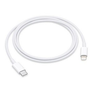 Apple 정품 Lightning-C타입 충전 케이블