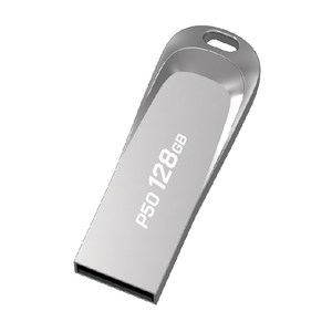 PLEIGO USB 메모리 P50