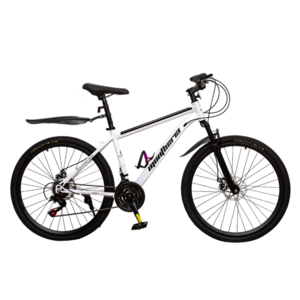 Montheria MTB자전거 [국내발송] 고성능 자전거 산악자전거 C395-62