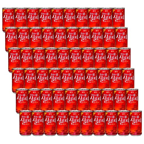 롯데칠성음료 실론티, 175ml, 60개