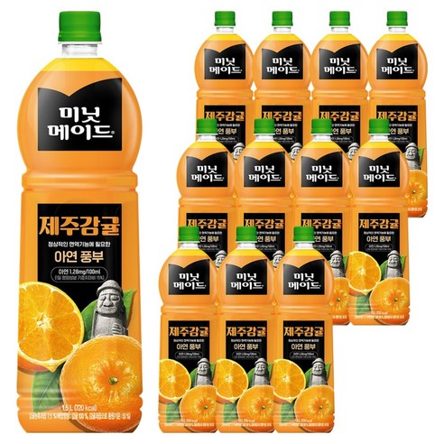 미닛메이드 프루티 제주감귤 주스, 1.5L, 12개
