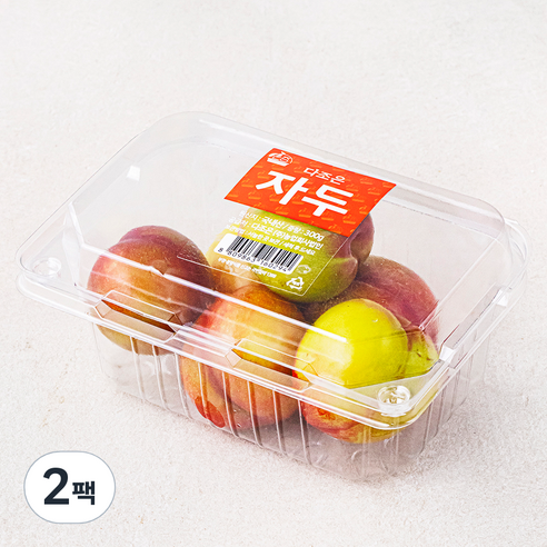 다조은 김천 자두(4~6입), 300g, 2팩