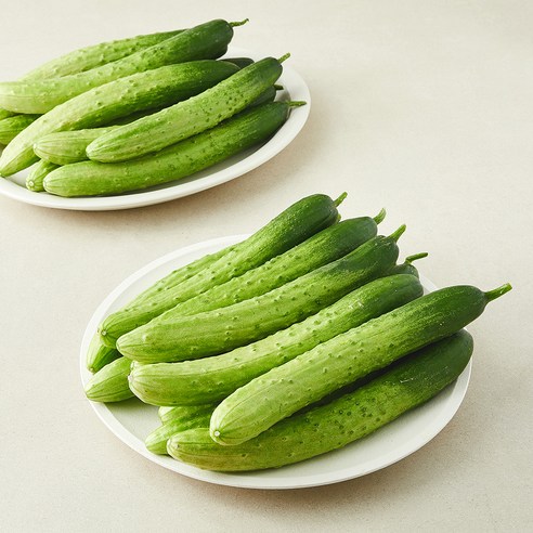 백오이 5kg(25~35입)