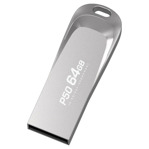 PLEIGO USB 메모리 P50, 64GB, 1개