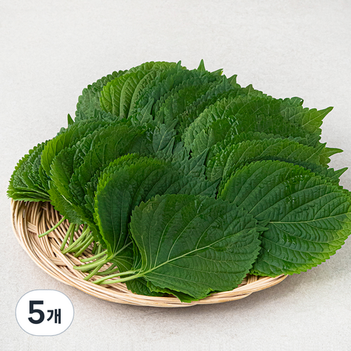 [로켓프레시] GAP 밀양 깻잎, 500g, 5개