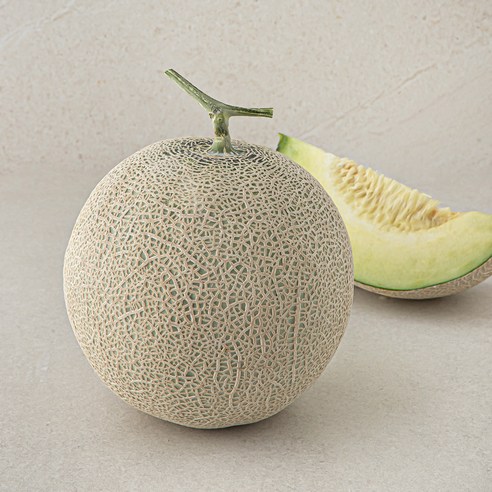 곰곰 세지 메론